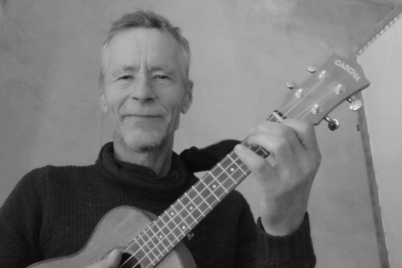 Ukulele Lernen Online